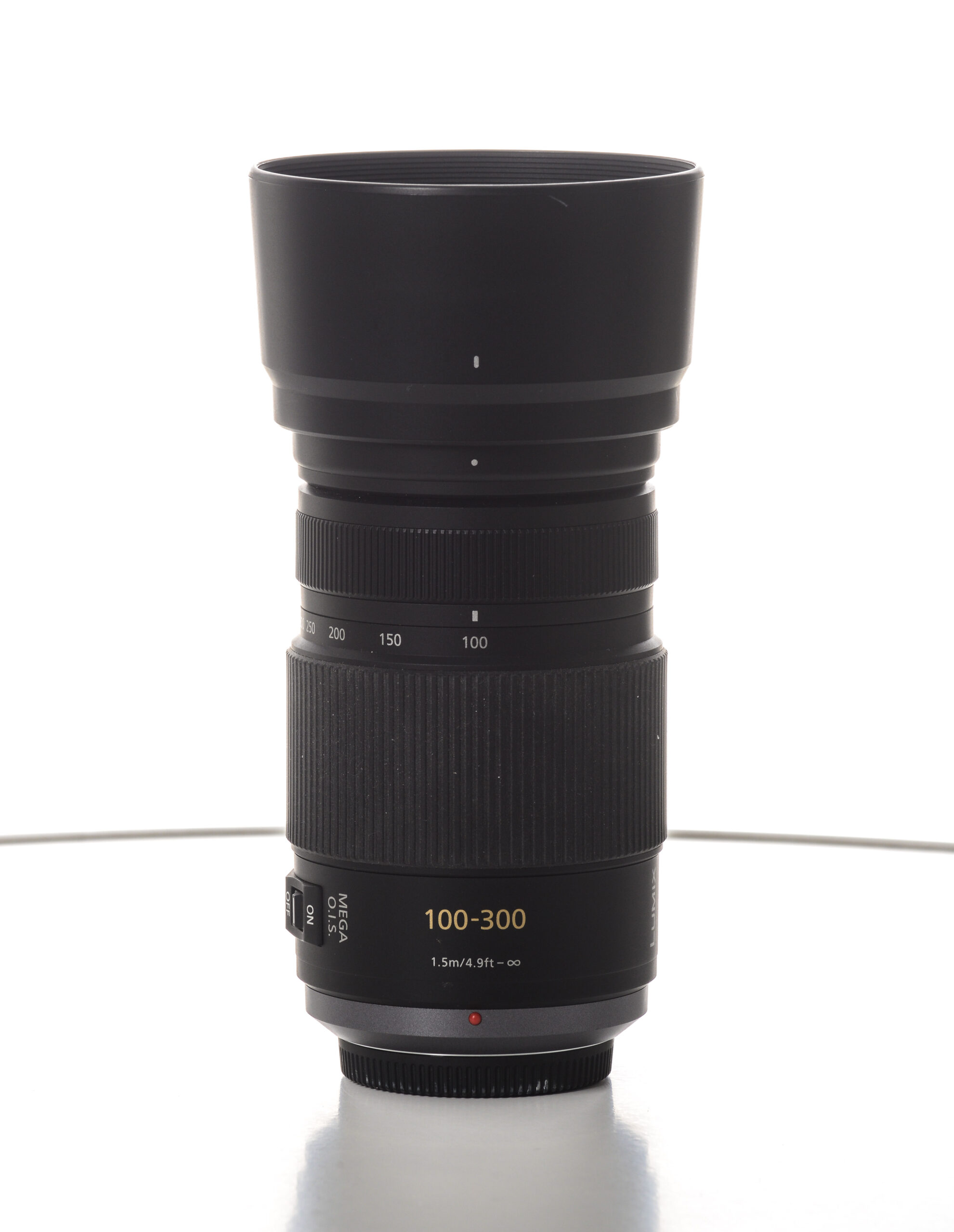 Panasonic Lumix G Vario 100-300mm F4.0-5.6 MEGA O.I.S